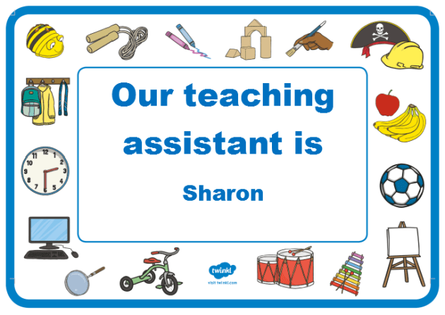 teaching assistant